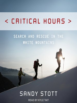 cover image of Critical Hours